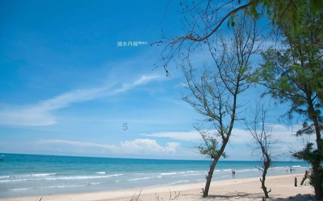 省两会特别关注丨蓝图在握谋发展　奋楫笃行向未来——省政府工作报告在我市干部群众中引起热烈反响